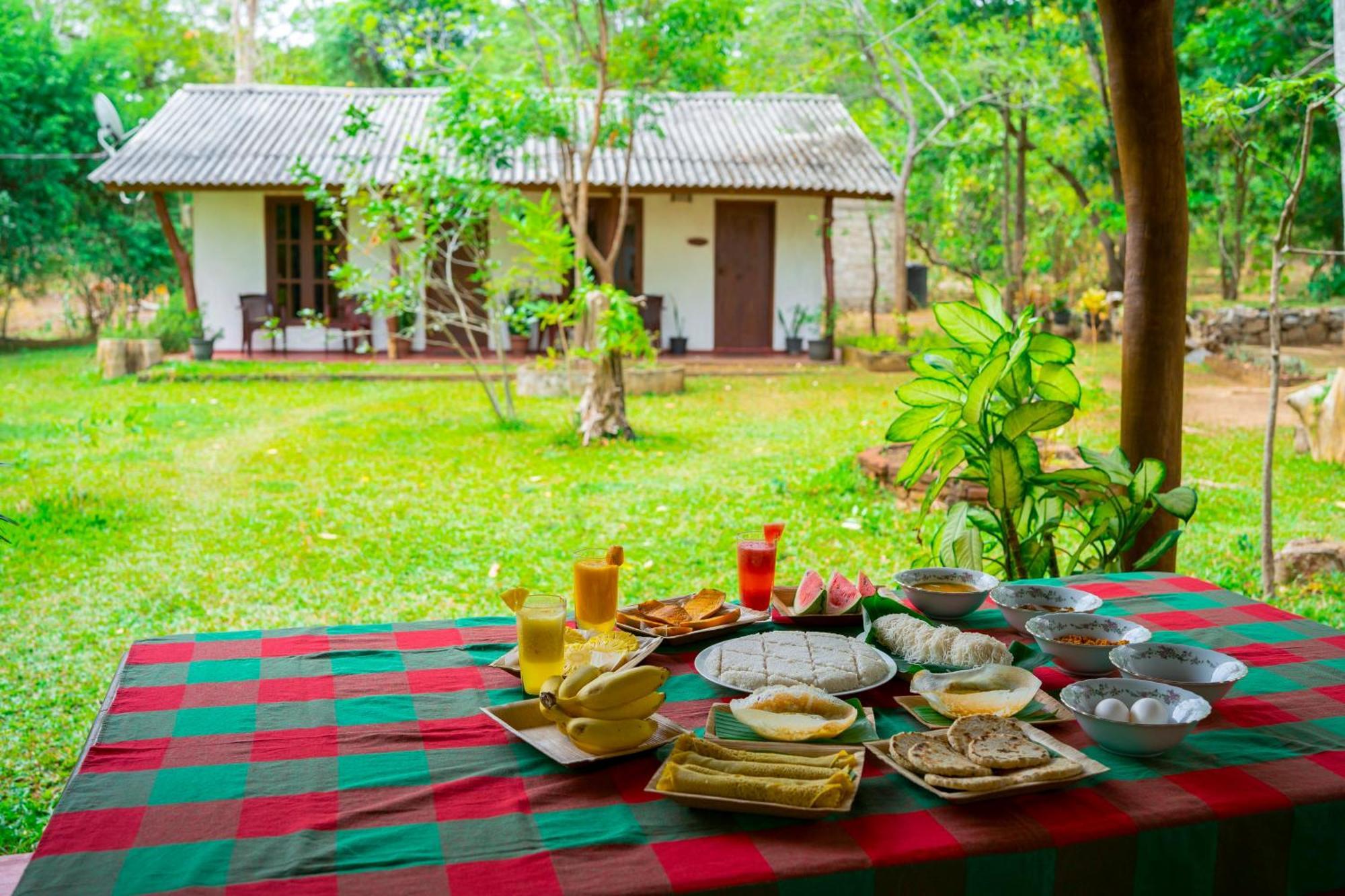 Wild Hut Habarana Acomodação com café da manhã Exterior foto