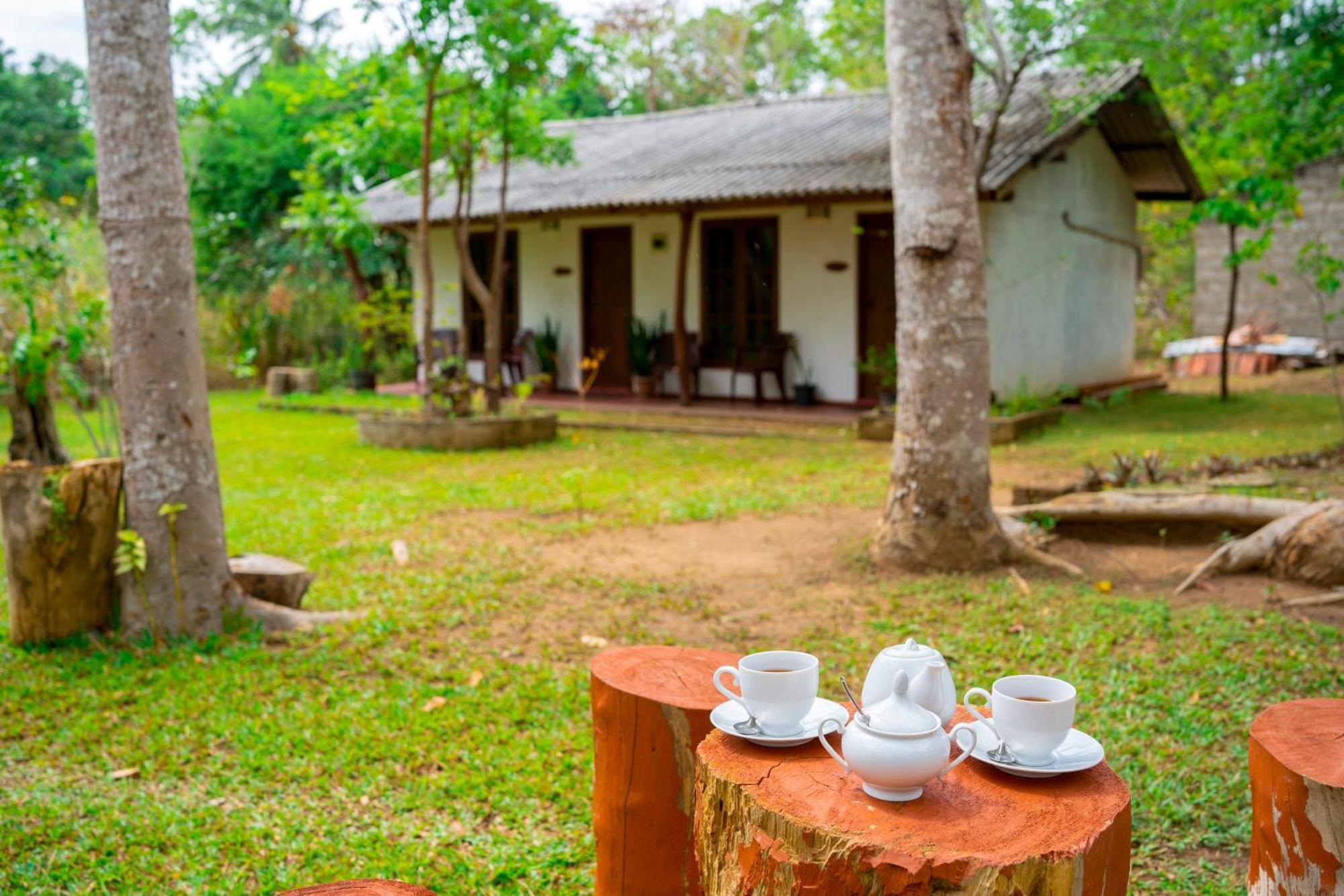 Wild Hut Habarana Acomodação com café da manhã Exterior foto